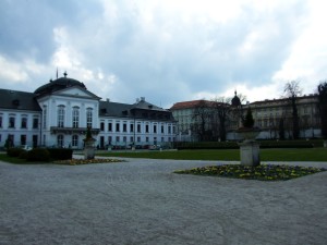 neben dem Medizinstudium 2